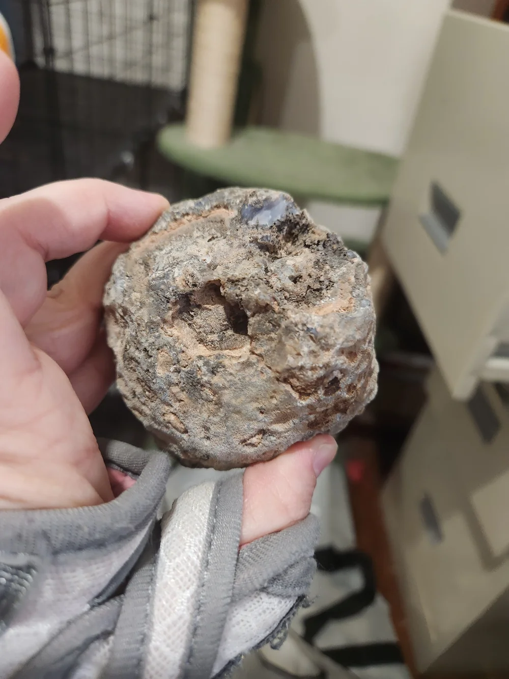 Natural Gray Chalcedony Decorative Half - Known as a Thunder Egg